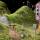 Samorost 1: Browser Game Review